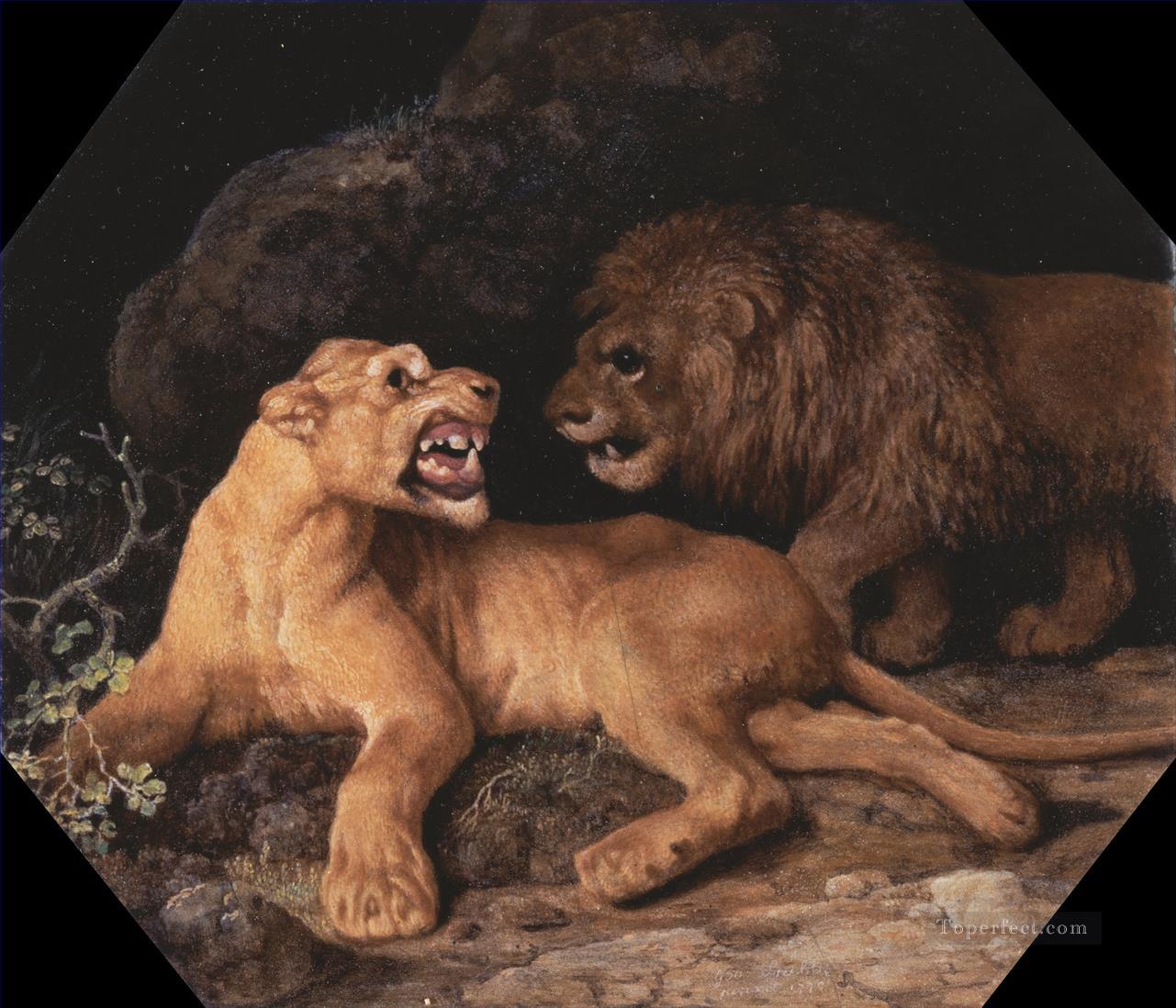 George Stubbs Lion et Lionne Peintures à l'huile